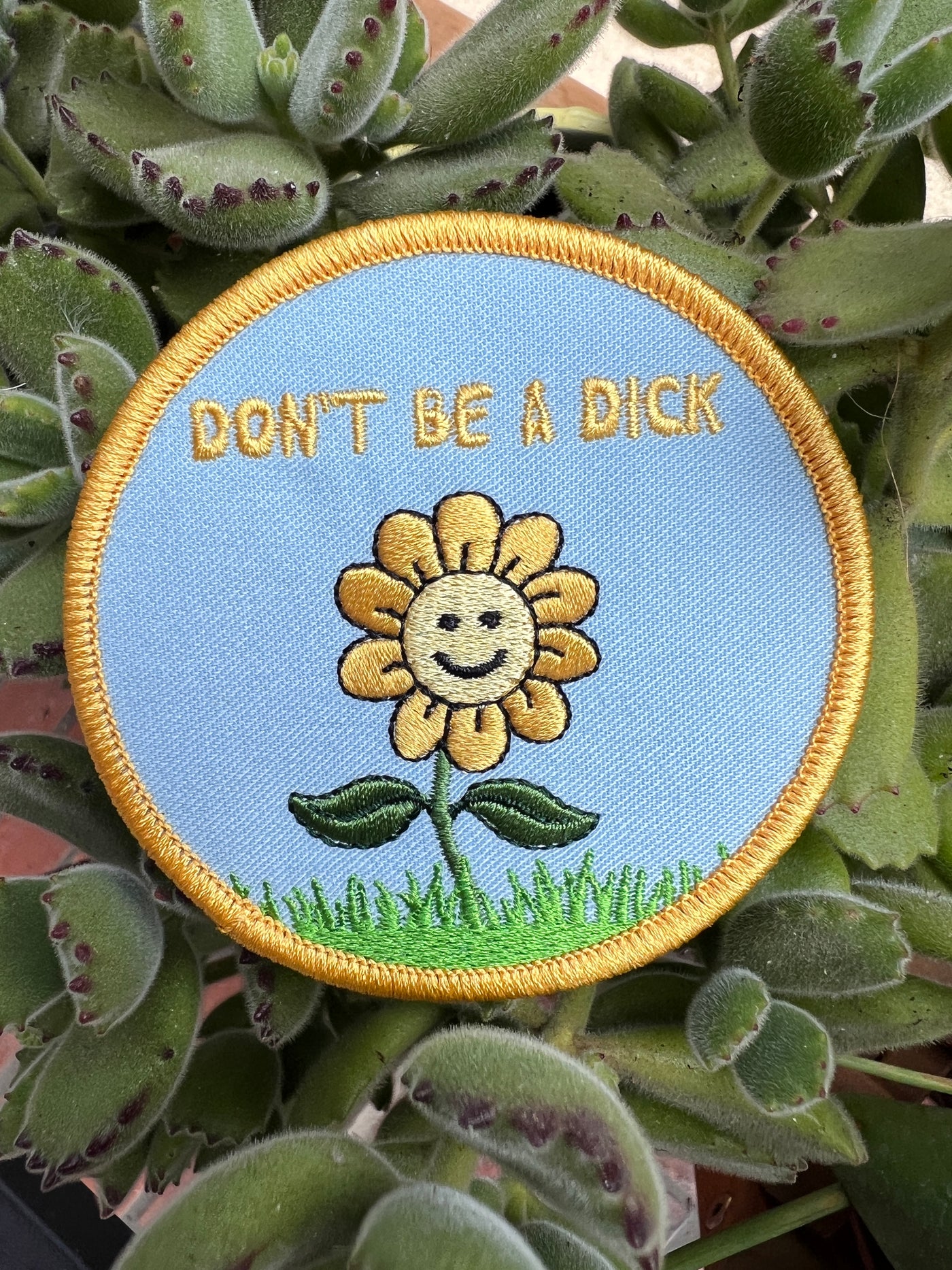 Don't Be a Dick Embroidered Patch
