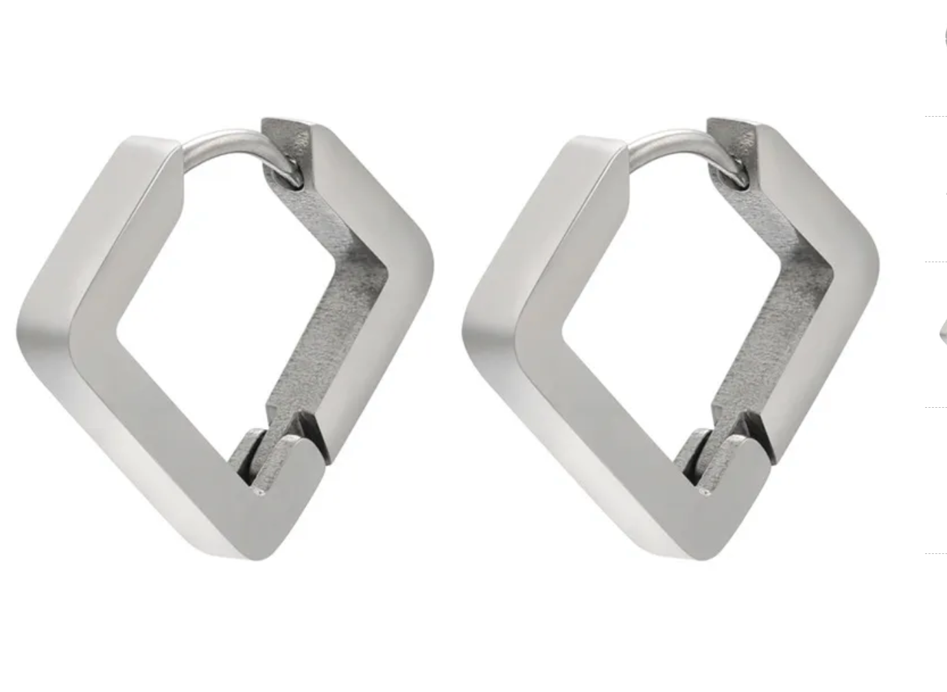Diamond Clasp Stainless Steel Earrings