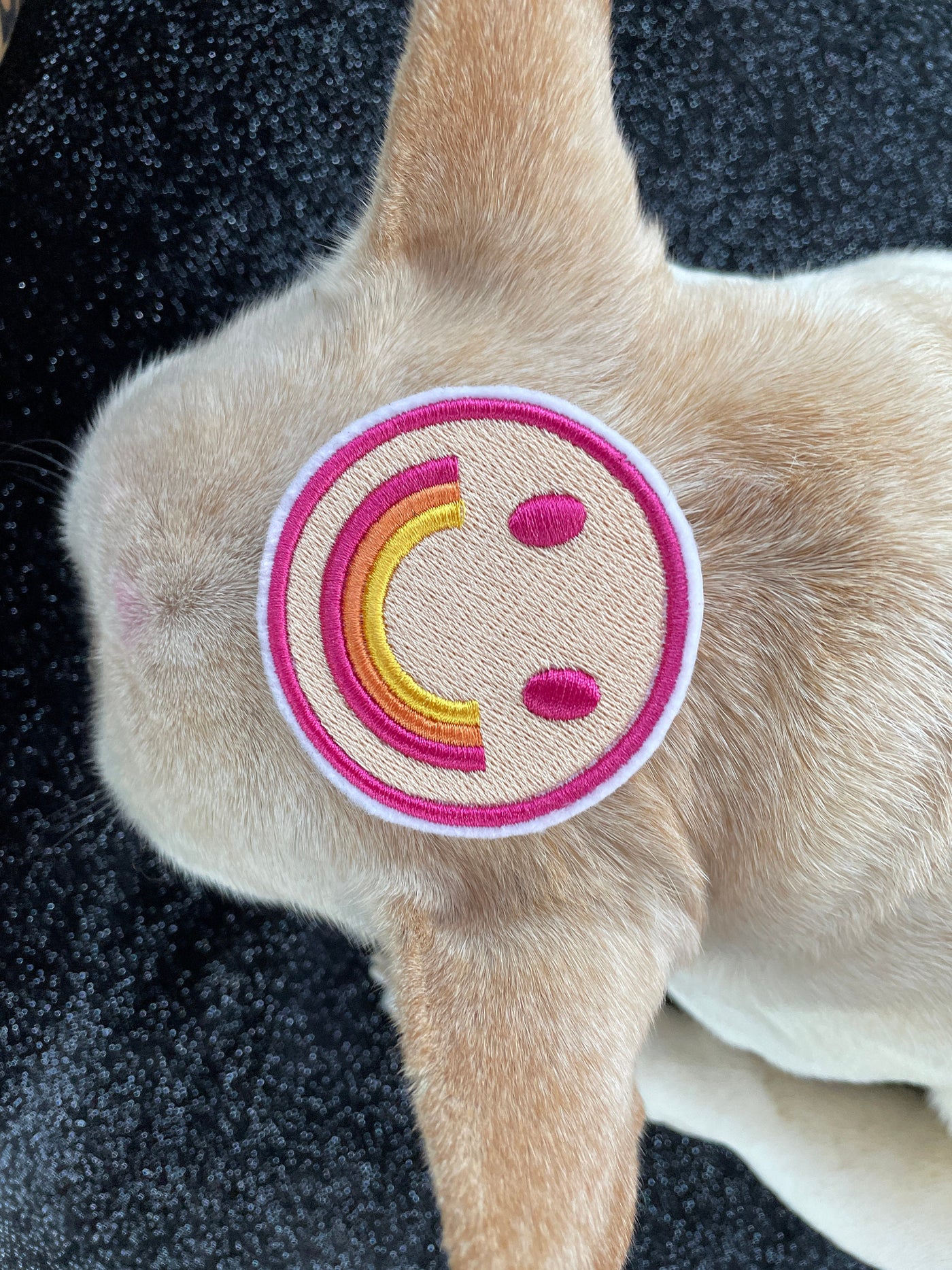 Pink Rainbow Smile Face Logo Felt Iron on Patch