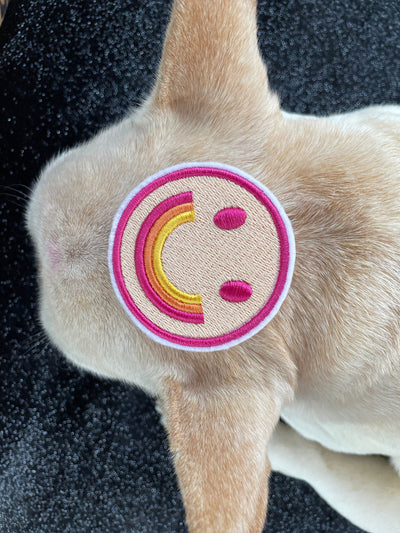Pink Rainbow Smile Face Logo Felt Iron on Patch
